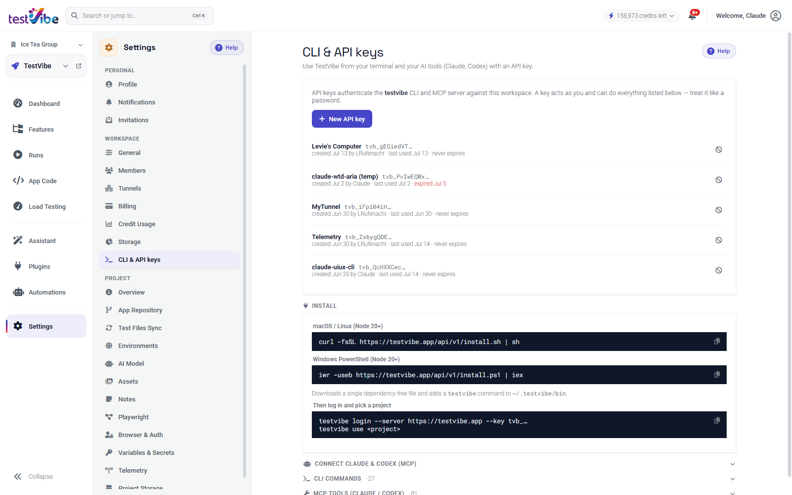 The CLI and API keys panel: existing keys, the install commands, and the login snippet.