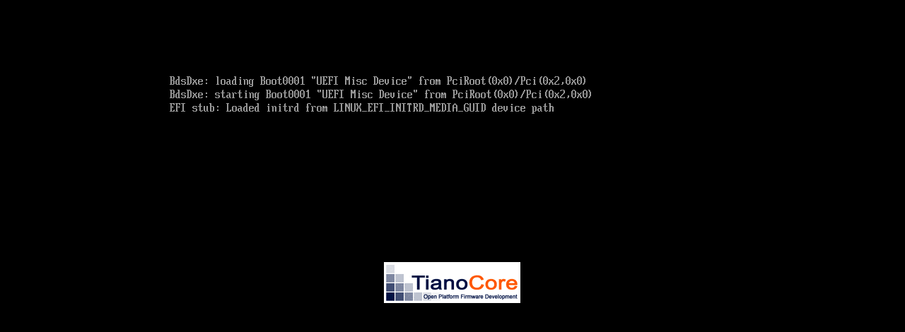 The VM console a few seconds after power on: UEFI firmware lines reading BdsDxe: loading and starting Boot0001, then EFI stub: Loaded initrd, above the TianoCore firmware logo.